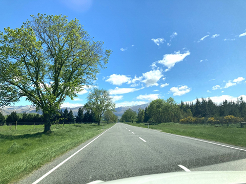 車好きのための究極のロードトリップガイド